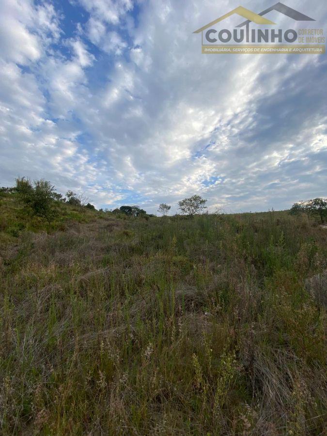 WhatsApp Image 2025-10-29 at 14.17.27 (4).jpeg